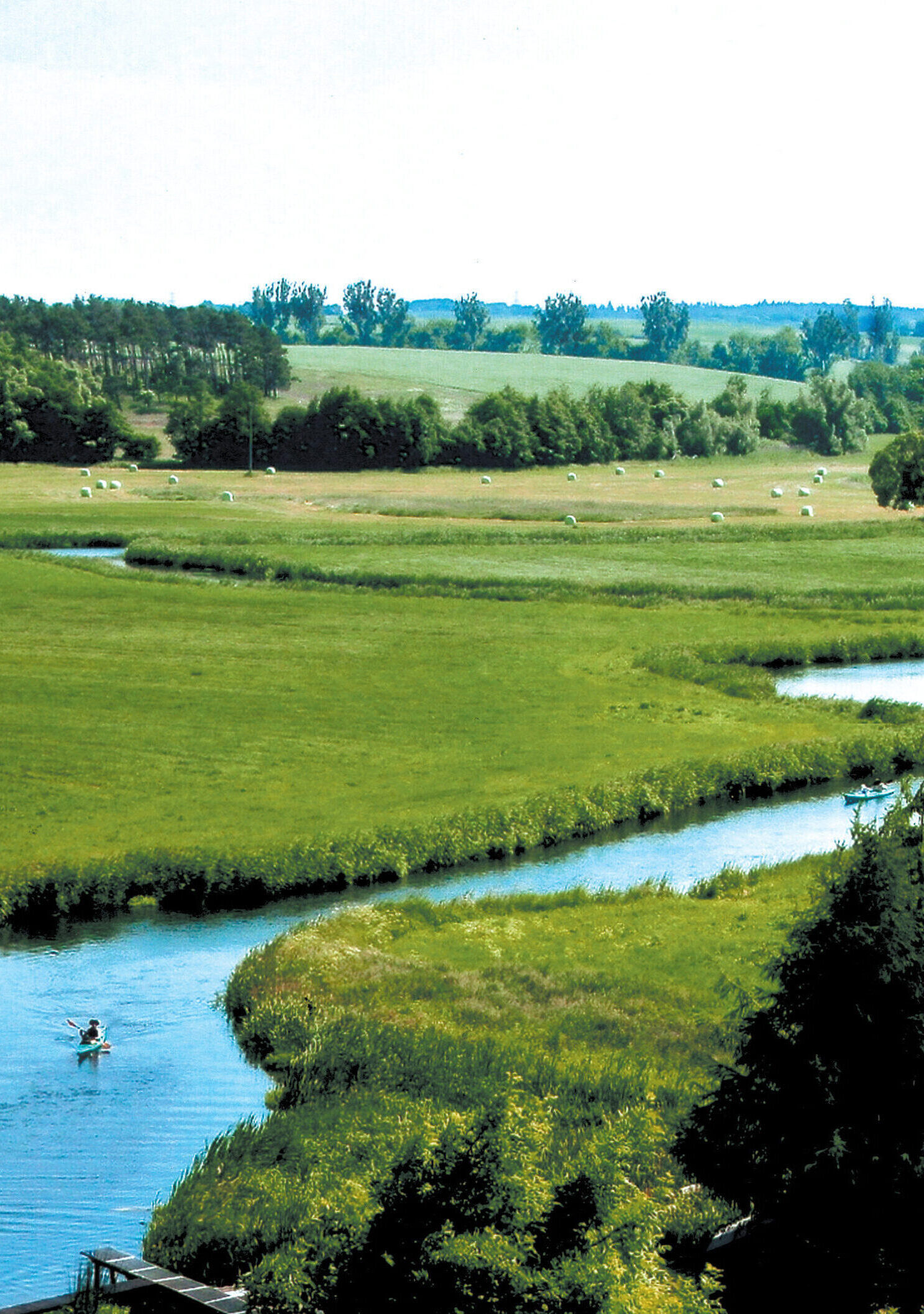 Zusammen bewegen - Mitbringbüffet für alle